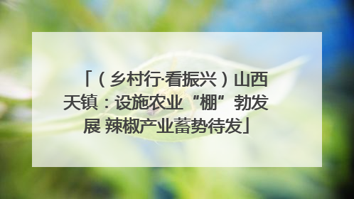 （乡村行·看振兴）山西天镇：设施农业“棚”勃发展 辣椒产业蓄势待发