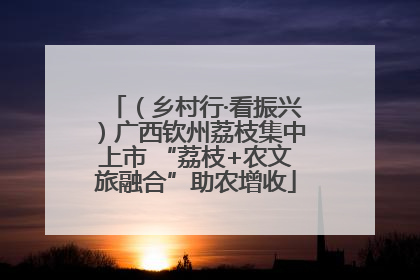 （乡村行·看振兴）广西钦州荔枝集中上市 “荔枝+农文旅融合”助农增收