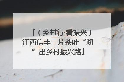 （乡村行·看振兴）江西信丰一片茶叶“沏”出乡村振兴路