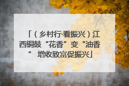 （乡村行·看振兴）江西铜鼓“花香”变“油香” 增收致富促振兴