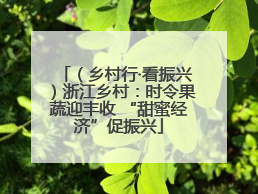 （乡村行·看振兴）浙江乡村：时令果蔬迎丰收 “甜蜜经济”促振兴
