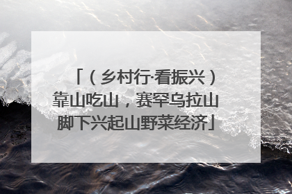 （乡村行·看振兴）靠山吃山，赛罕乌拉山脚下兴起山野菜经济