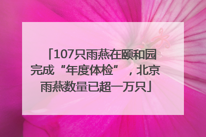 107只雨燕在颐和园完成“年度体检”，北京雨燕数量已超一万只