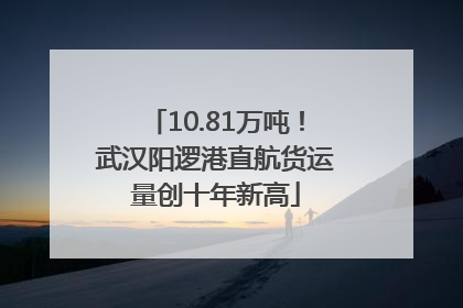 10.81万吨！武汉阳逻港直航货运量创十年新高