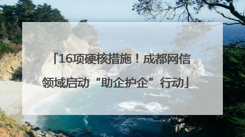 16项硬核措施！成都网信领域启动“助企护企”行动