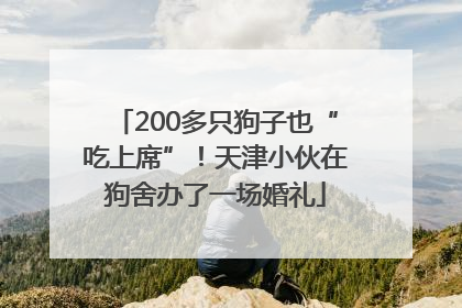 200多只狗子也“吃上席”！天津小伙在狗舍办了一场婚礼
