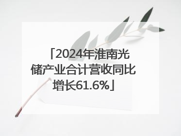 2024年淮南光储产业合计营收同比增长61.6%