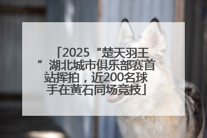 2025“楚天羽王”湖北城市俱乐部赛首站挥拍，近200名球手在黄石同场竞技