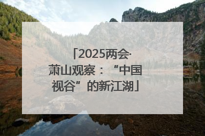 2025两会·萧山观察：“中国视谷”的新江湖