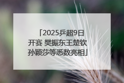 2025乒超9日开赛 樊振东王楚钦孙颖莎等悉数亮相