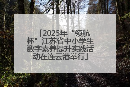 2025年“领航杯”江苏省中小学生数字素养提升实践活动在连云港举行