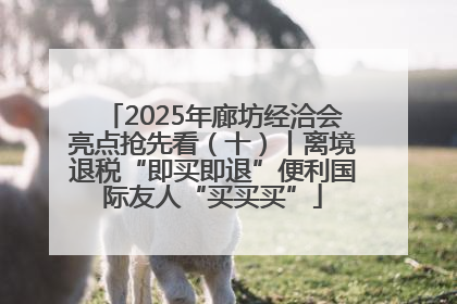 2025年廊坊经洽会亮点抢先看（十）丨离境退税“即买即退”便利国际友人“买买买”