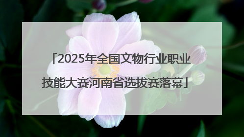 2025年全国文物行业职业技能大赛河南省选拔赛落幕