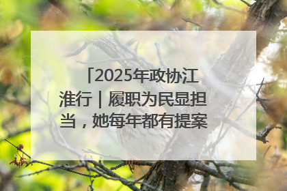 2025年政协江淮行｜履职为民显担当，她每年都有提案被评为“优秀”