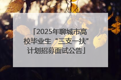 2025年聊城市高校毕业生“三支一扶”计划招募面试公告