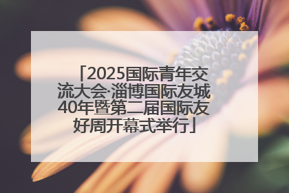 2025国际青年交流大会·淄博国际友城40年暨第二届国际友好周开幕式举行