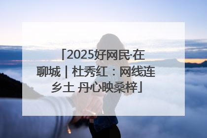 2025好网民·在聊城｜杜秀红：网线连乡土 丹心映桑梓