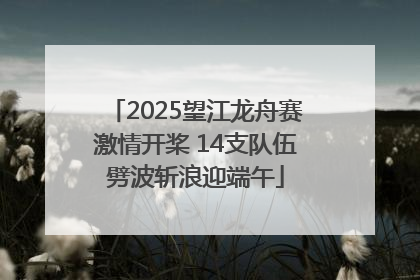 2025望江龙舟赛激情开桨 14支队伍劈波斩浪迎端午