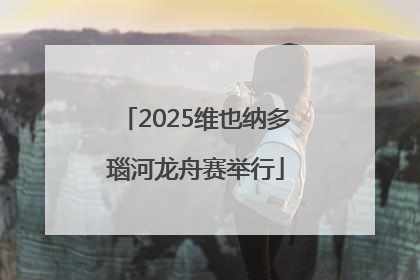 2025维也纳多瑙河龙舟赛举行