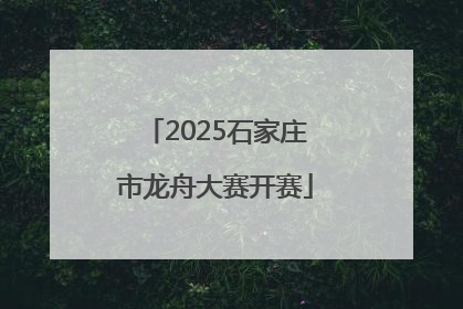 2025石家庄市龙舟大赛开赛