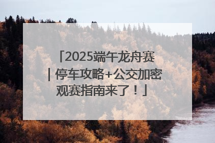 2025端午龙舟赛｜停车攻略+公交加密 观赛指南来了！