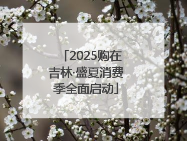 2025购在吉林·盛夏消费季全面启动