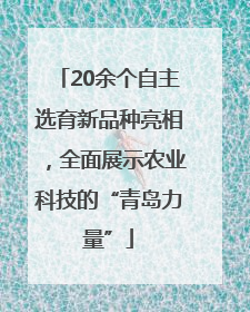 20余个自主选育新品种亮相，全面展示农业科技的“青岛力量”