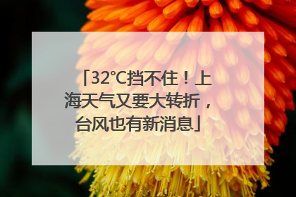 32℃挡不住！上海天气又要大转折，台风也有新消息