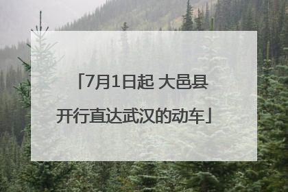 7月1日起 大邑县开行直达武汉的动车