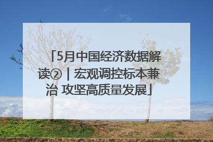 5月中国经济数据解读②｜宏观调控标本兼治 攻坚高质量发展