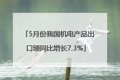 5月份我国机电产品出口额同比增长7.3%