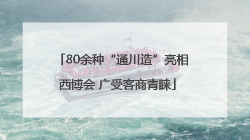 80余种“通川造”亮相西博会 广受客商青睐