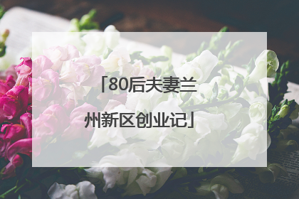 80后夫妻兰州新区创业记