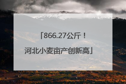 866.27公斤！河北小麦亩产创新高