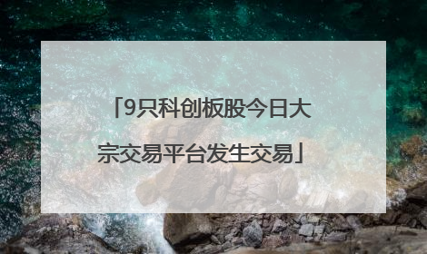 9只科创板股今日大宗交易平台发生交易