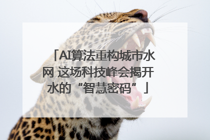 AI算法重构城市水网 这场科技峰会揭开水的“智慧密码”
