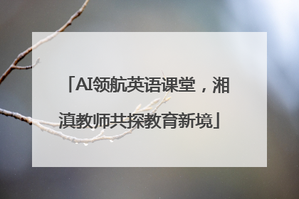 AI领航英语课堂，湘滇教师共探教育新境