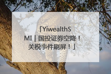 YiwealthSMI｜国投证券空降！关税事件刷屏！