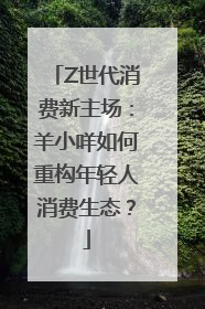 Z世代消费新主场：羊小咩如何重构年轻人消费生态？
